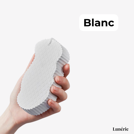 1 + 2 GRATUIT | ÉclatDouce™ Éponge Exfoliante pour le Corps